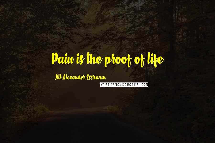 Jill Alexander Essbaum Quotes: Pain is the proof of life