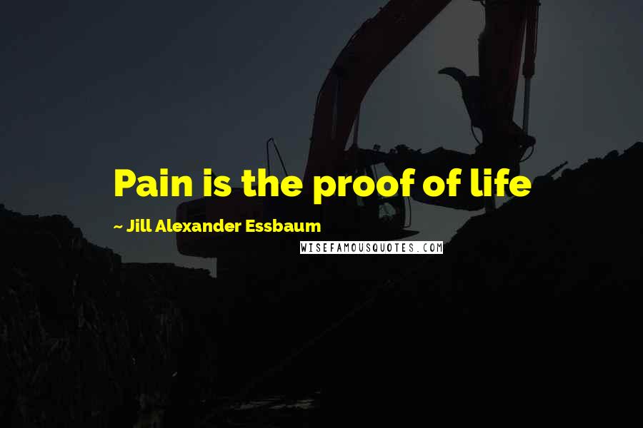 Jill Alexander Essbaum Quotes: Pain is the proof of life