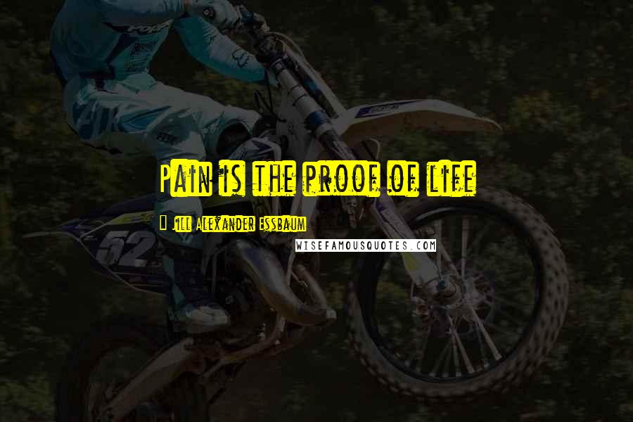 Jill Alexander Essbaum Quotes: Pain is the proof of life
