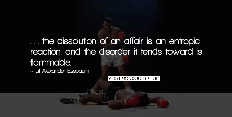 Jill Alexander Essbaum Quotes: . . . the dissolution of an affair is an entropic reaction, and the disorder it tends toward is flammable.