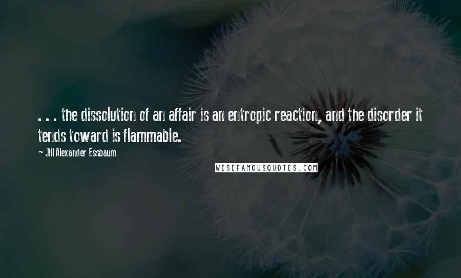 Jill Alexander Essbaum Quotes: . . . the dissolution of an affair is an entropic reaction, and the disorder it tends toward is flammable.