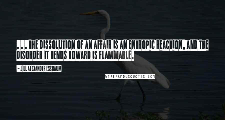 Jill Alexander Essbaum Quotes: . . . the dissolution of an affair is an entropic reaction, and the disorder it tends toward is flammable.