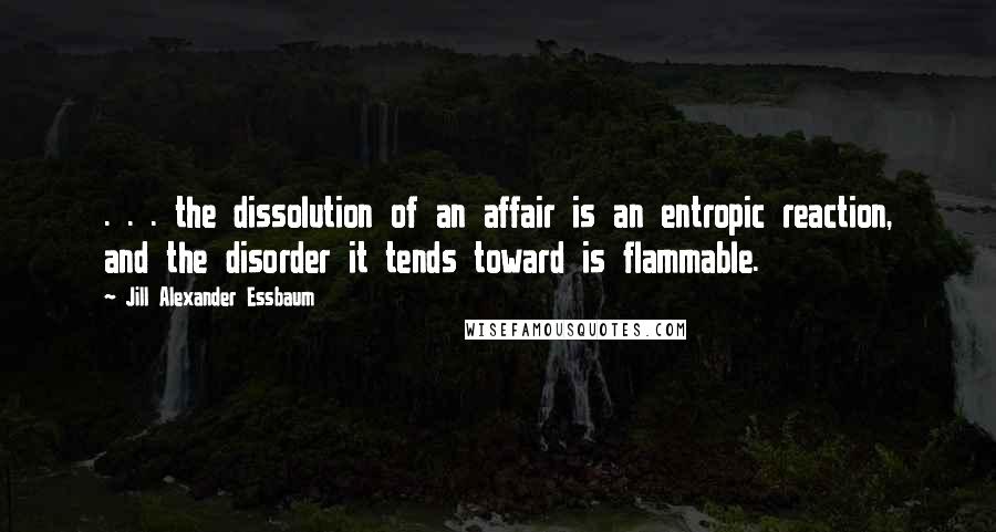 Jill Alexander Essbaum Quotes: . . . the dissolution of an affair is an entropic reaction, and the disorder it tends toward is flammable.