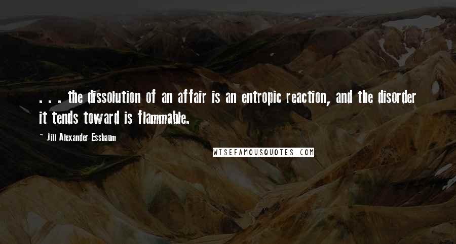Jill Alexander Essbaum Quotes: . . . the dissolution of an affair is an entropic reaction, and the disorder it tends toward is flammable.