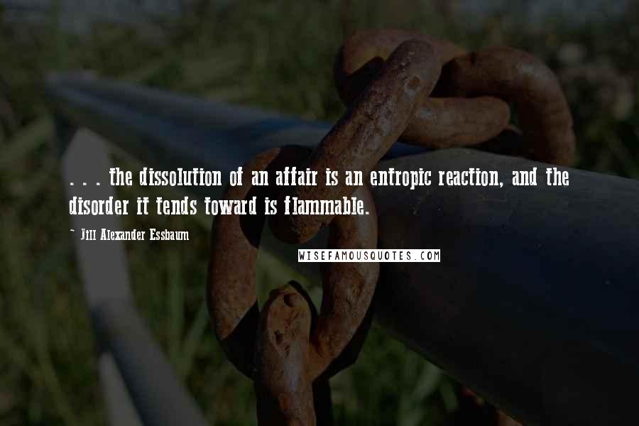 Jill Alexander Essbaum Quotes: . . . the dissolution of an affair is an entropic reaction, and the disorder it tends toward is flammable.