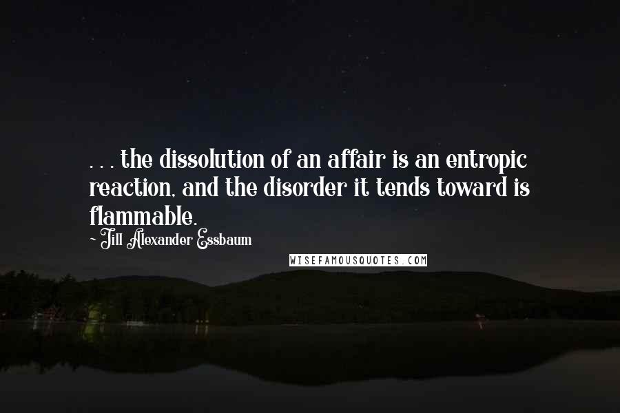 Jill Alexander Essbaum Quotes: . . . the dissolution of an affair is an entropic reaction, and the disorder it tends toward is flammable.
