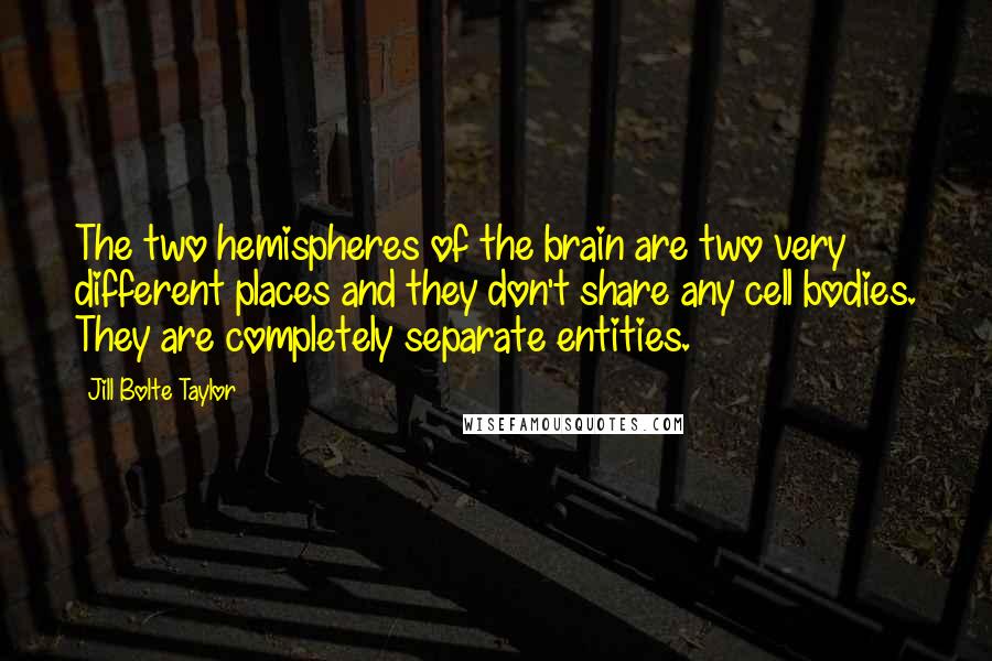 Jill Bolte Taylor Quotes: The two hemispheres of the brain are two very different places and they don't share any cell bodies. They are completely separate entities.