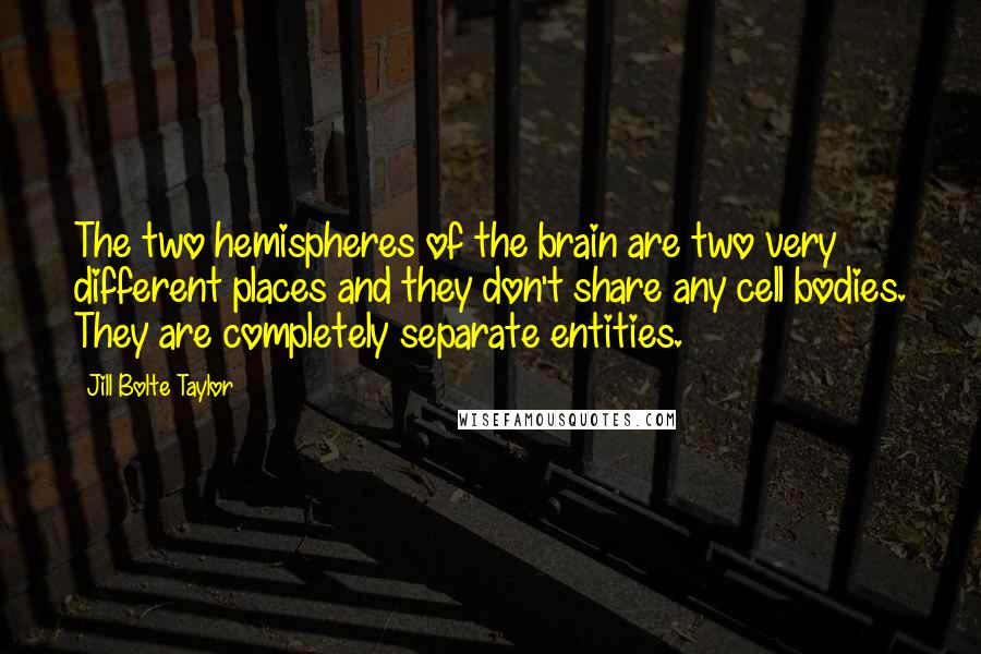 Jill Bolte Taylor Quotes: The two hemispheres of the brain are two very different places and they don't share any cell bodies. They are completely separate entities.