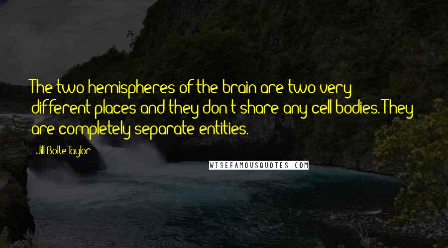 Jill Bolte Taylor Quotes: The two hemispheres of the brain are two very different places and they don't share any cell bodies. They are completely separate entities.