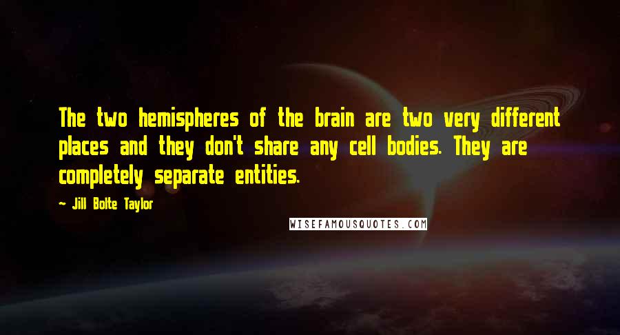 Jill Bolte Taylor Quotes: The two hemispheres of the brain are two very different places and they don't share any cell bodies. They are completely separate entities.