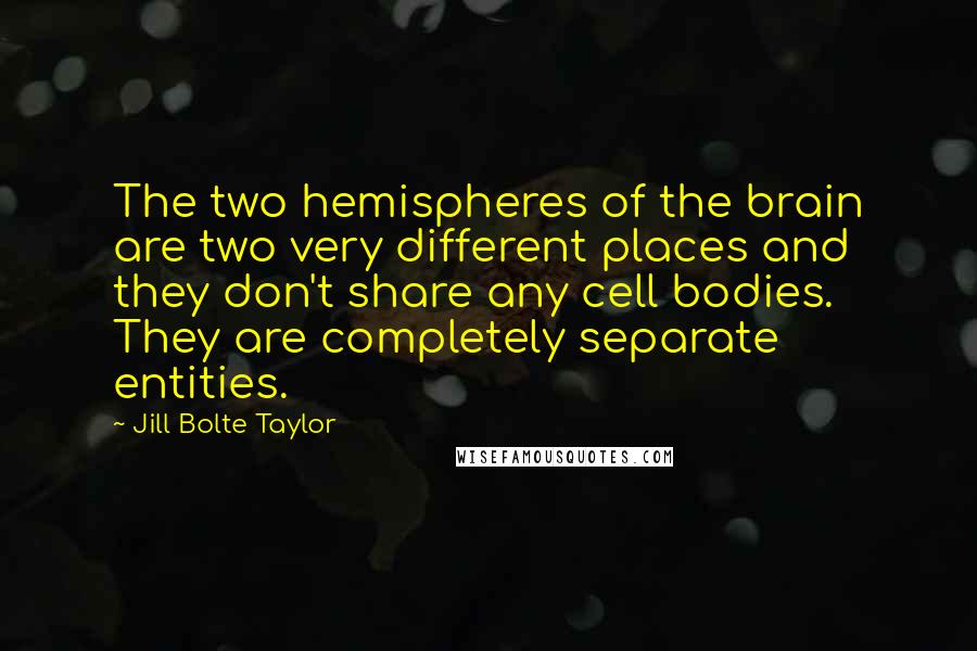 Jill Bolte Taylor Quotes: The two hemispheres of the brain are two very different places and they don't share any cell bodies. They are completely separate entities.