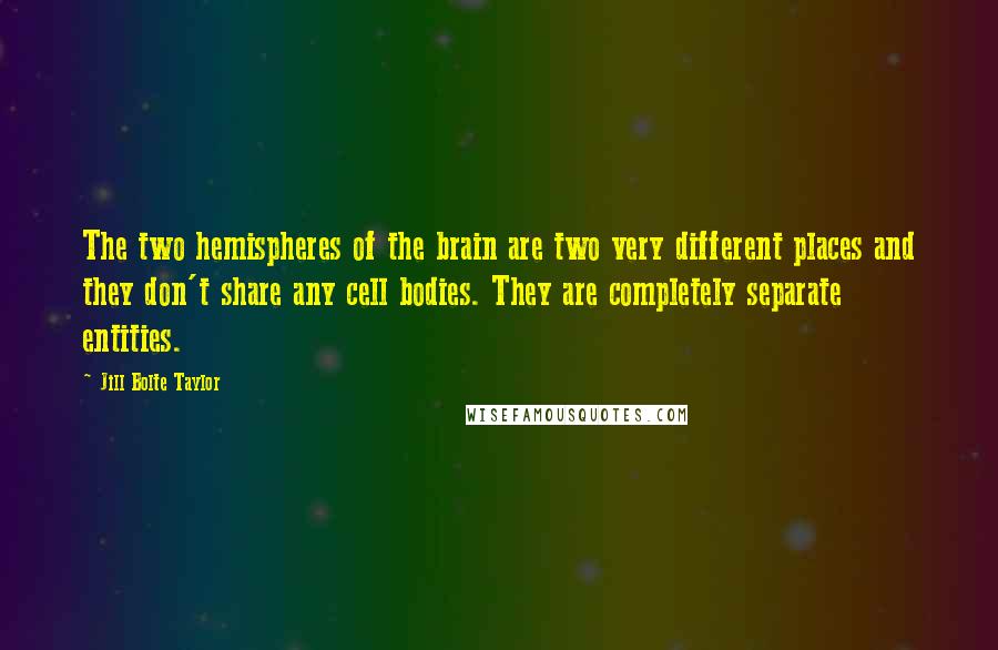 Jill Bolte Taylor Quotes: The two hemispheres of the brain are two very different places and they don't share any cell bodies. They are completely separate entities.