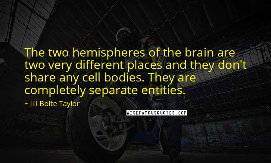 Jill Bolte Taylor Quotes: The two hemispheres of the brain are two very different places and they don't share any cell bodies. They are completely separate entities.