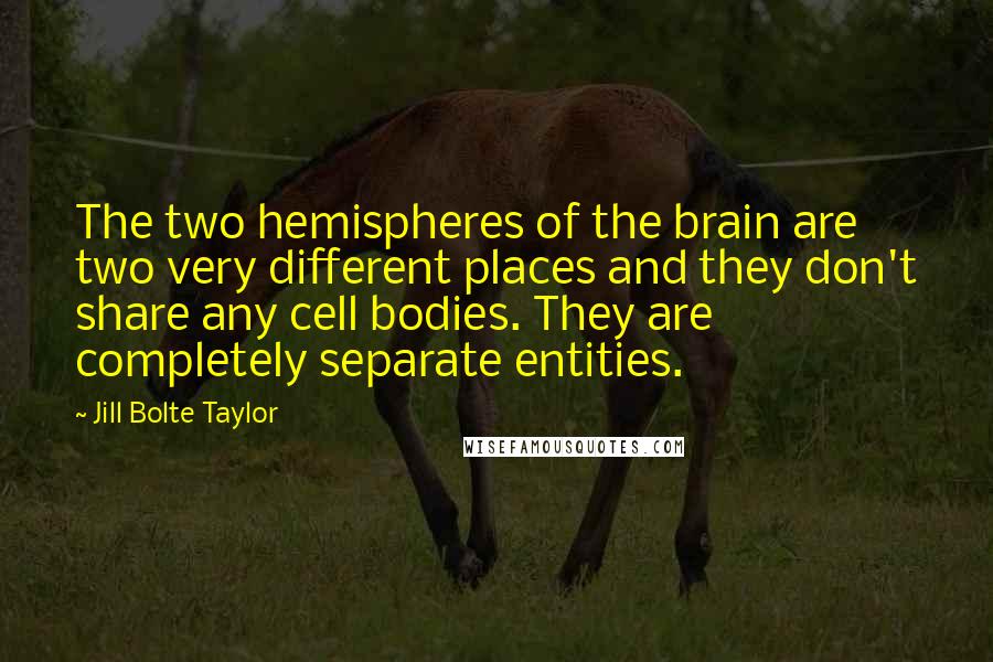 Jill Bolte Taylor Quotes: The two hemispheres of the brain are two very different places and they don't share any cell bodies. They are completely separate entities.