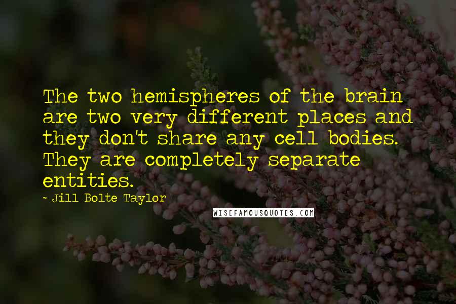 Jill Bolte Taylor Quotes: The two hemispheres of the brain are two very different places and they don't share any cell bodies. They are completely separate entities.