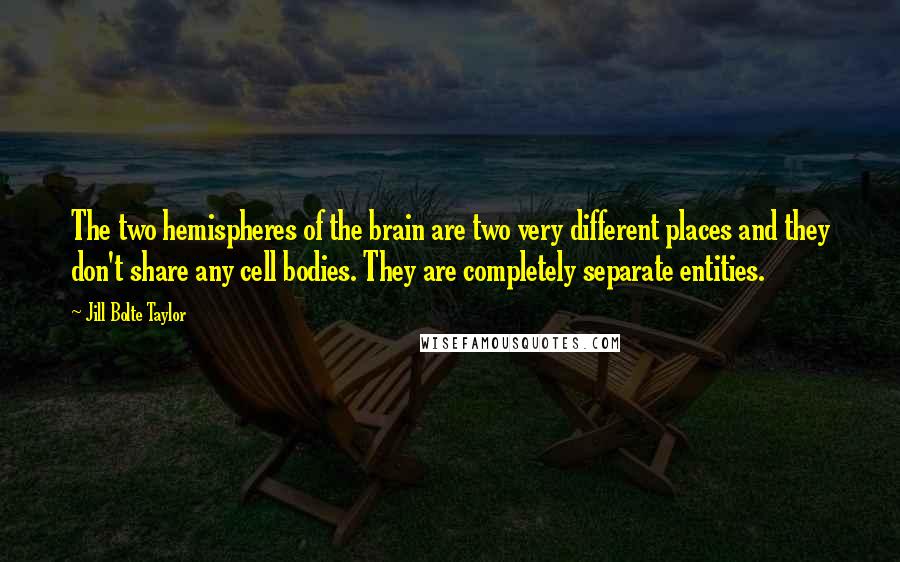 Jill Bolte Taylor Quotes: The two hemispheres of the brain are two very different places and they don't share any cell bodies. They are completely separate entities.