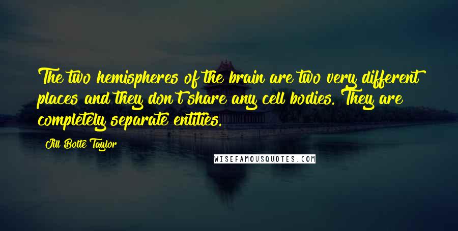 Jill Bolte Taylor Quotes: The two hemispheres of the brain are two very different places and they don't share any cell bodies. They are completely separate entities.