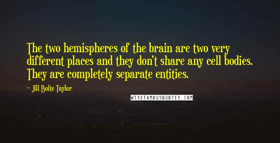 Jill Bolte Taylor Quotes: The two hemispheres of the brain are two very different places and they don't share any cell bodies. They are completely separate entities.