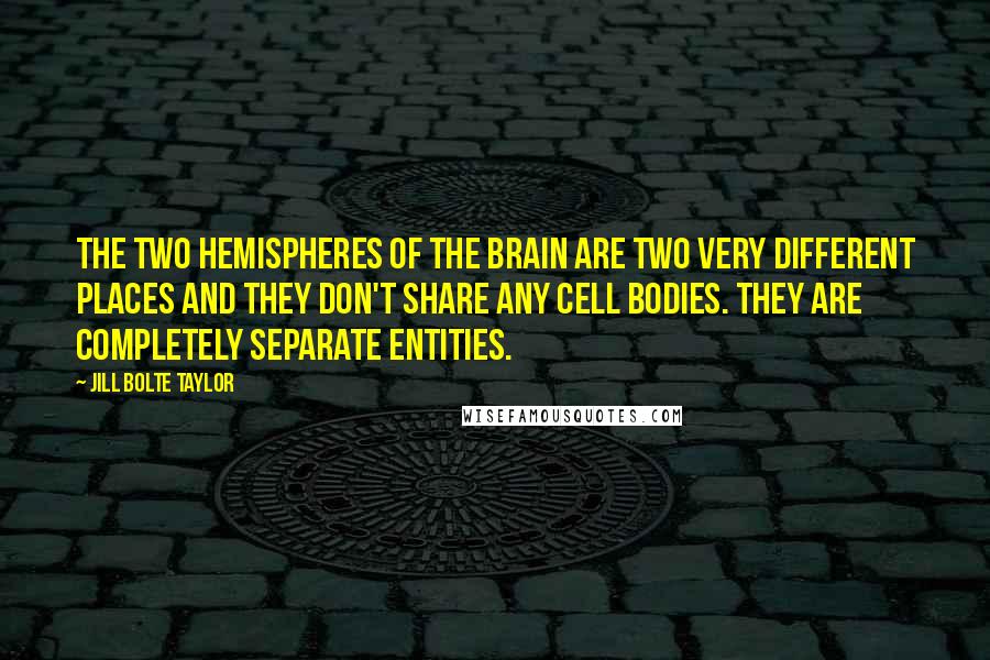 Jill Bolte Taylor Quotes: The two hemispheres of the brain are two very different places and they don't share any cell bodies. They are completely separate entities.