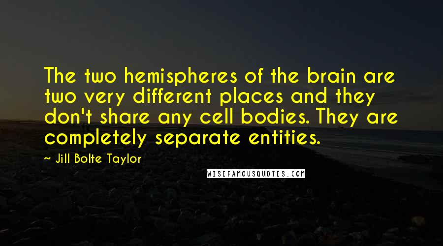 Jill Bolte Taylor Quotes: The two hemispheres of the brain are two very different places and they don't share any cell bodies. They are completely separate entities.