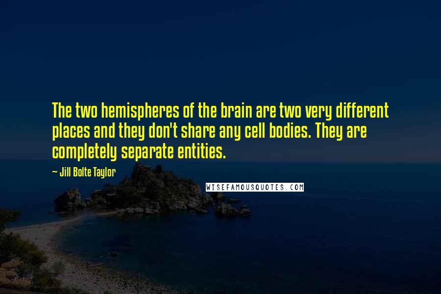 Jill Bolte Taylor Quotes: The two hemispheres of the brain are two very different places and they don't share any cell bodies. They are completely separate entities.