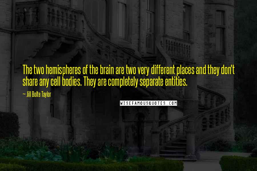 Jill Bolte Taylor Quotes: The two hemispheres of the brain are two very different places and they don't share any cell bodies. They are completely separate entities.