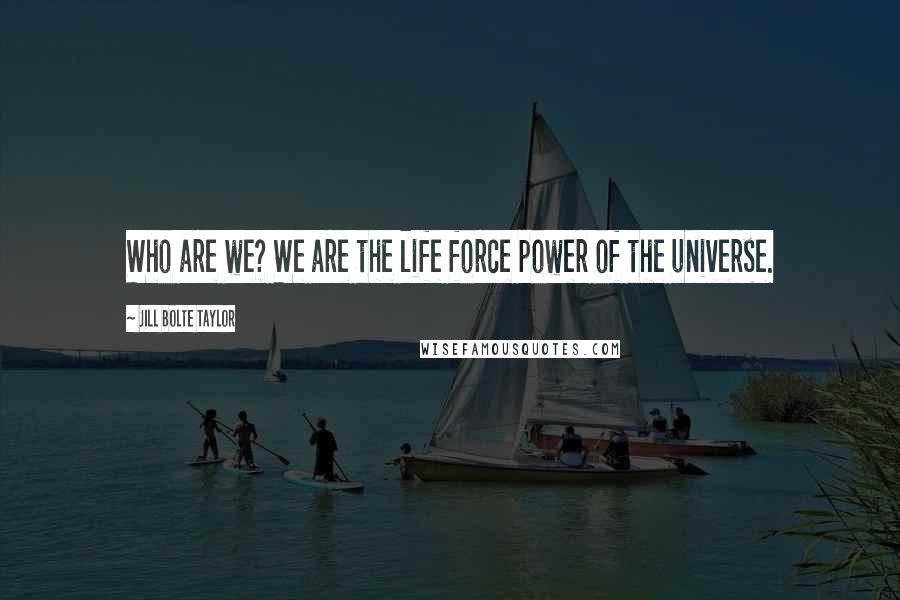 Jill Bolte Taylor Quotes: Who are we? We are the life force power of the universe.