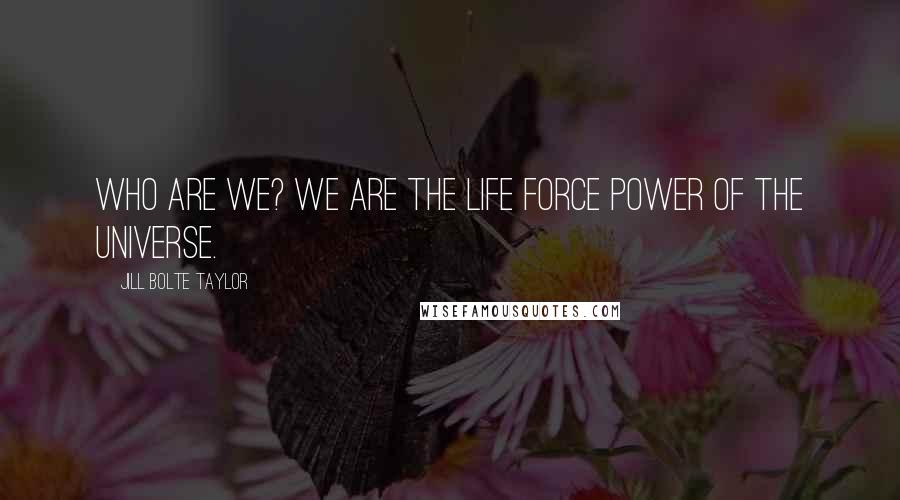 Jill Bolte Taylor Quotes: Who are we? We are the life force power of the universe.