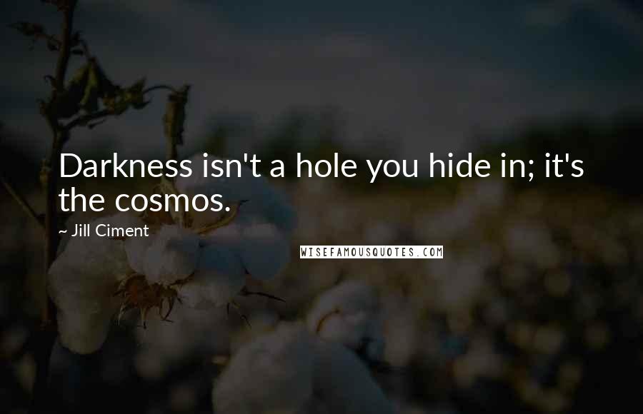 Jill Ciment Quotes: Darkness isn't a hole you hide in; it's the cosmos.