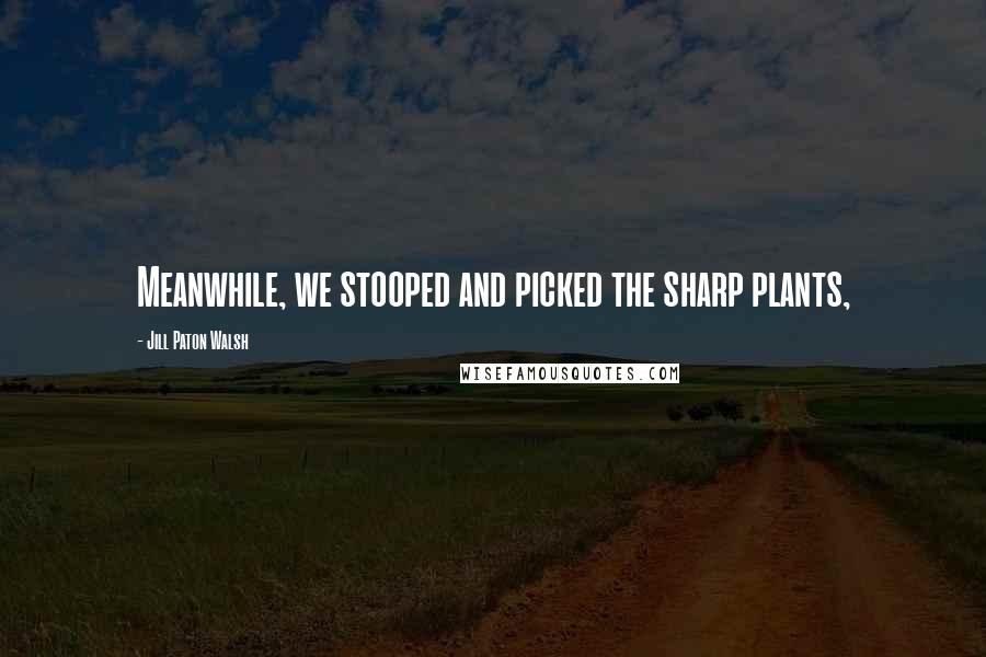 Jill Paton Walsh Quotes: Meanwhile, we stooped and picked the sharp plants,