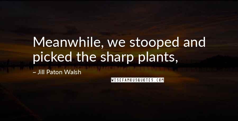 Jill Paton Walsh Quotes: Meanwhile, we stooped and picked the sharp plants,