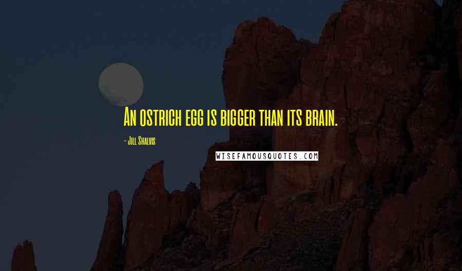 Jill Shalvis Quotes: An ostrich egg is bigger than its brain.