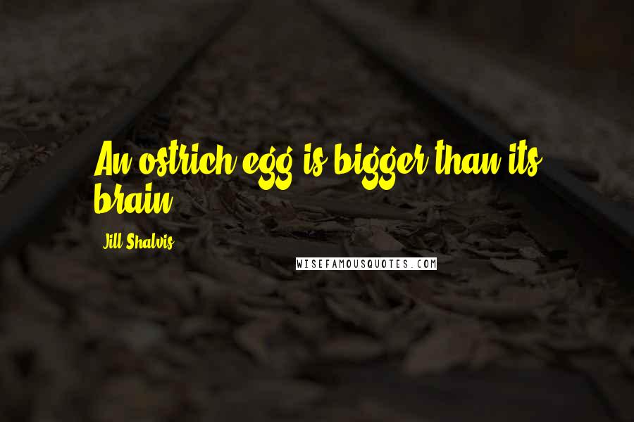 Jill Shalvis Quotes: An ostrich egg is bigger than its brain.