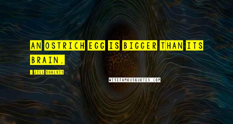 Jill Shalvis Quotes: An ostrich egg is bigger than its brain.