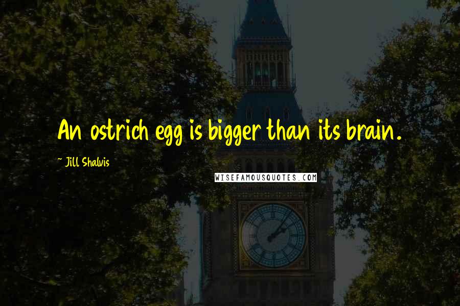 Jill Shalvis Quotes: An ostrich egg is bigger than its brain.