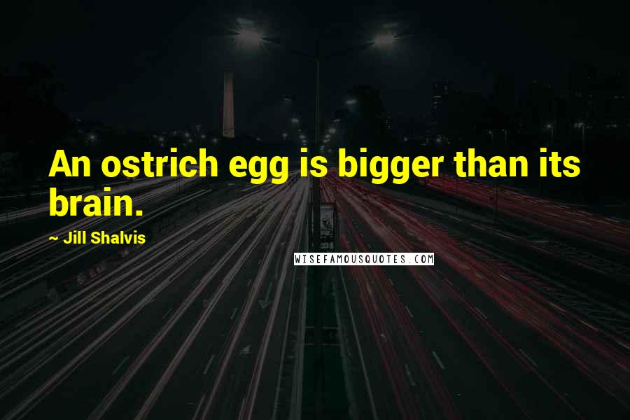 Jill Shalvis Quotes: An ostrich egg is bigger than its brain.