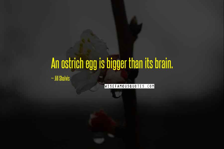 Jill Shalvis Quotes: An ostrich egg is bigger than its brain.