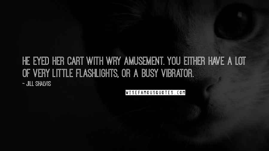 Jill Shalvis Quotes: He eyed her cart with wry amusement. You either have a lot of very little flashlights, or a busy vibrator.