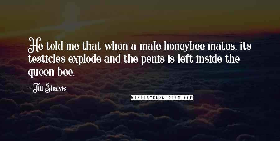 Jill Shalvis Quotes: He told me that when a male honeybee mates, its testicles explode and the penis is left inside the queen bee.