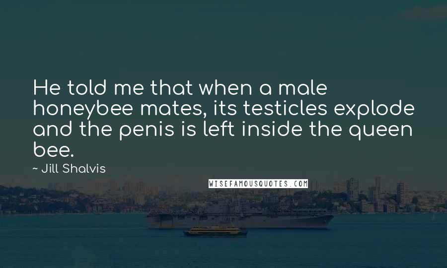 Jill Shalvis Quotes: He told me that when a male honeybee mates, its testicles explode and the penis is left inside the queen bee.