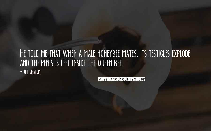 Jill Shalvis Quotes: He told me that when a male honeybee mates, its testicles explode and the penis is left inside the queen bee.