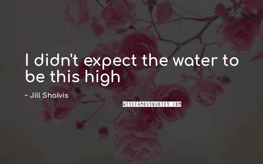 Jill Shalvis Quotes: I didn't expect the water to be this high