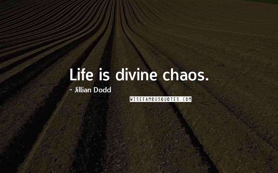 Jillian Dodd Quotes: Life is divine chaos.