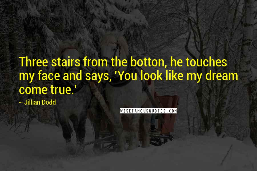 Jillian Dodd Quotes: Three stairs from the botton, he touches my face and says, 'You look like my dream come true.'