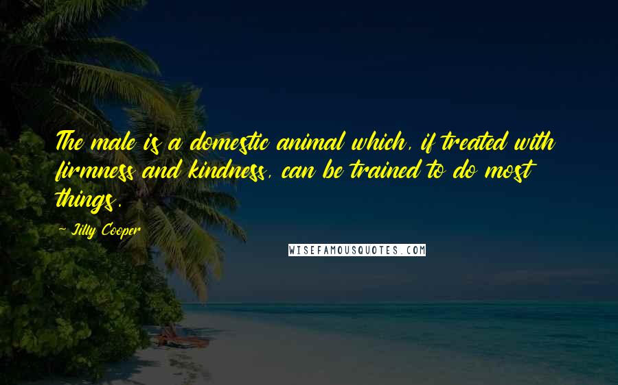 Jilly Cooper Quotes: The male is a domestic animal which, if treated with firmness and kindness, can be trained to do most things.