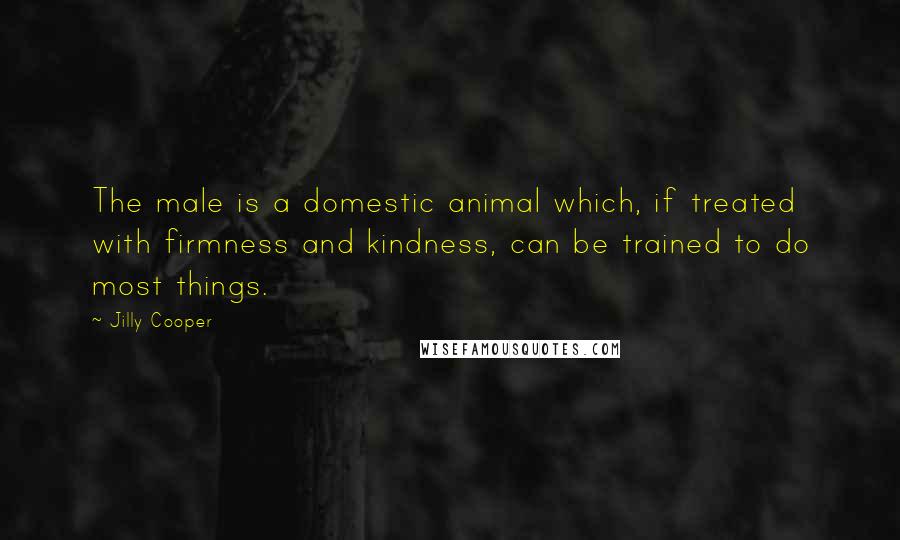 Jilly Cooper Quotes: The male is a domestic animal which, if treated with firmness and kindness, can be trained to do most things.