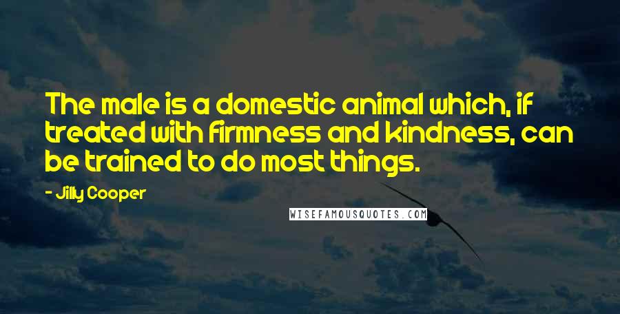 Jilly Cooper Quotes: The male is a domestic animal which, if treated with firmness and kindness, can be trained to do most things.