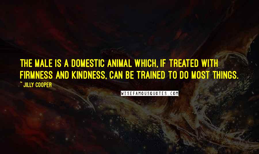 Jilly Cooper Quotes: The male is a domestic animal which, if treated with firmness and kindness, can be trained to do most things.