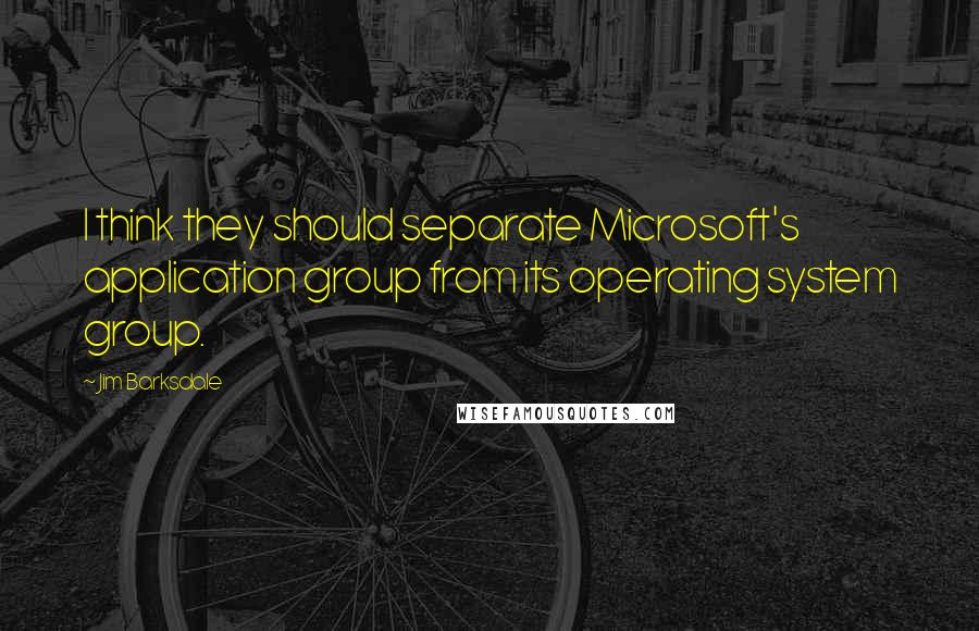 Jim Barksdale Quotes: I think they should separate Microsoft's application group from its operating system group.