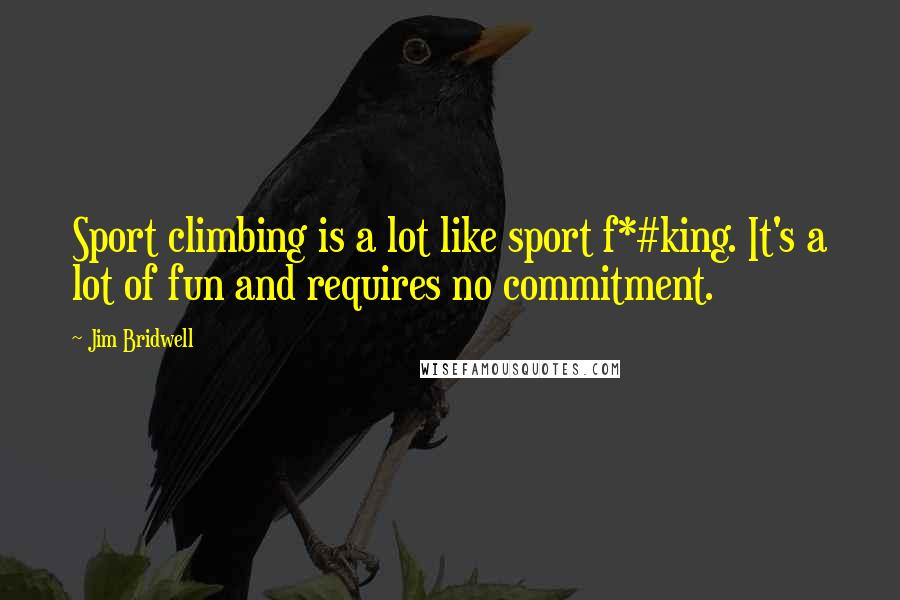 Jim Bridwell Quotes: Sport climbing is a lot like sport f*#king. It's a lot of fun and requires no commitment.